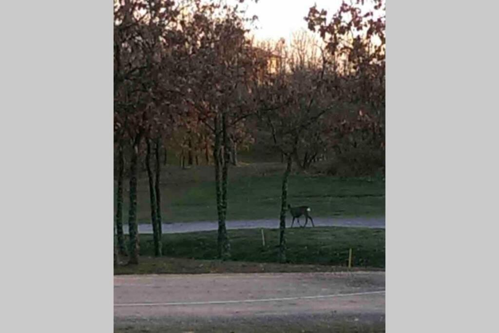 Leon Golf Casakalma Villa Exterior photo